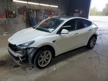  Salvage Tesla Model Y