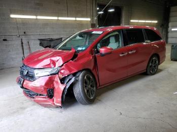  Salvage Honda Odyssey