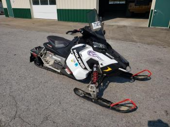  Salvage Polaris Snowmobile