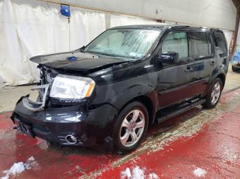  Salvage Honda Pilot