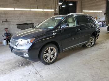  Salvage Lexus RX