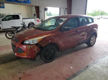  Salvage Ford Escape