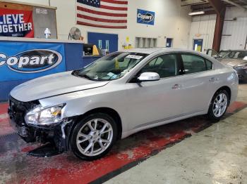 Salvage Nissan Maxima