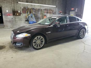  Salvage Jaguar XF