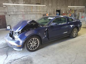  Salvage Ford Mustang
