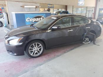  Salvage Nissan Maxima