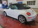 Volkswagen Beetle Triple White Image 2