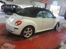Volkswagen Beetle Triple White Image 3