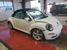 Volkswagen Beetle Triple White Image 6