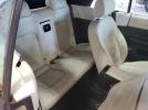 Volkswagen Beetle Triple White Image 9