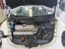 Volkswagen Beetle Triple White Image 12