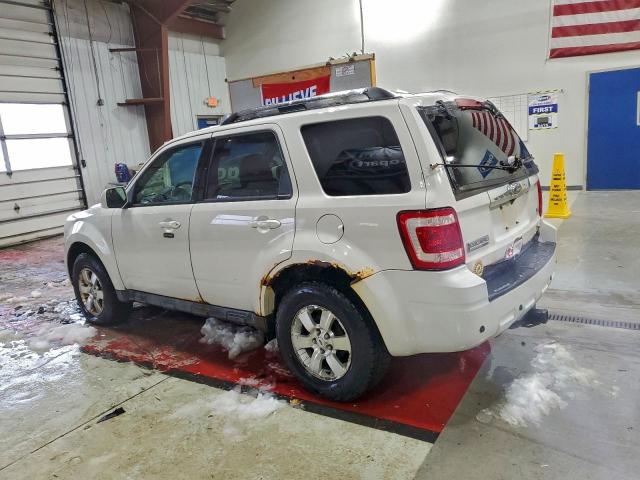 Ford Escape Limited Image 8