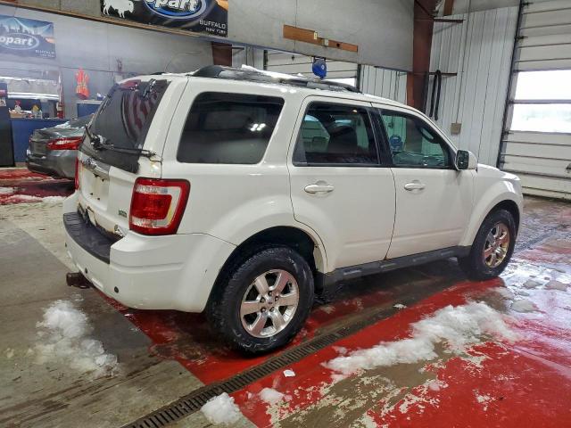 Ford Escape Limited Image 4