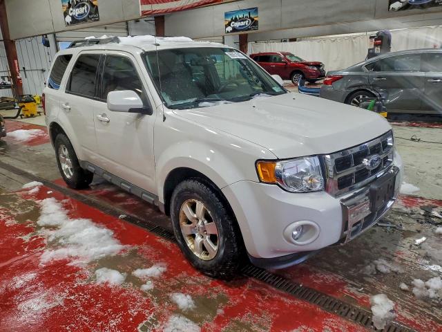 Ford Escape Limited Image 3