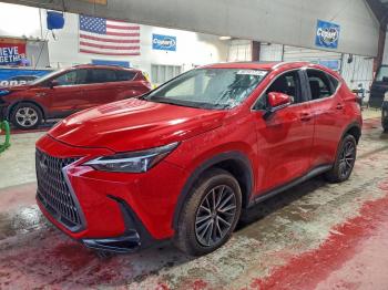  Salvage Lexus NX