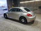 Volkswagen Beetle Image 2