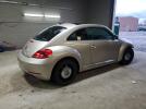 Volkswagen Beetle Image 12