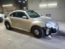 Volkswagen Beetle Image 3