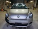 Volkswagen Beetle Image 11