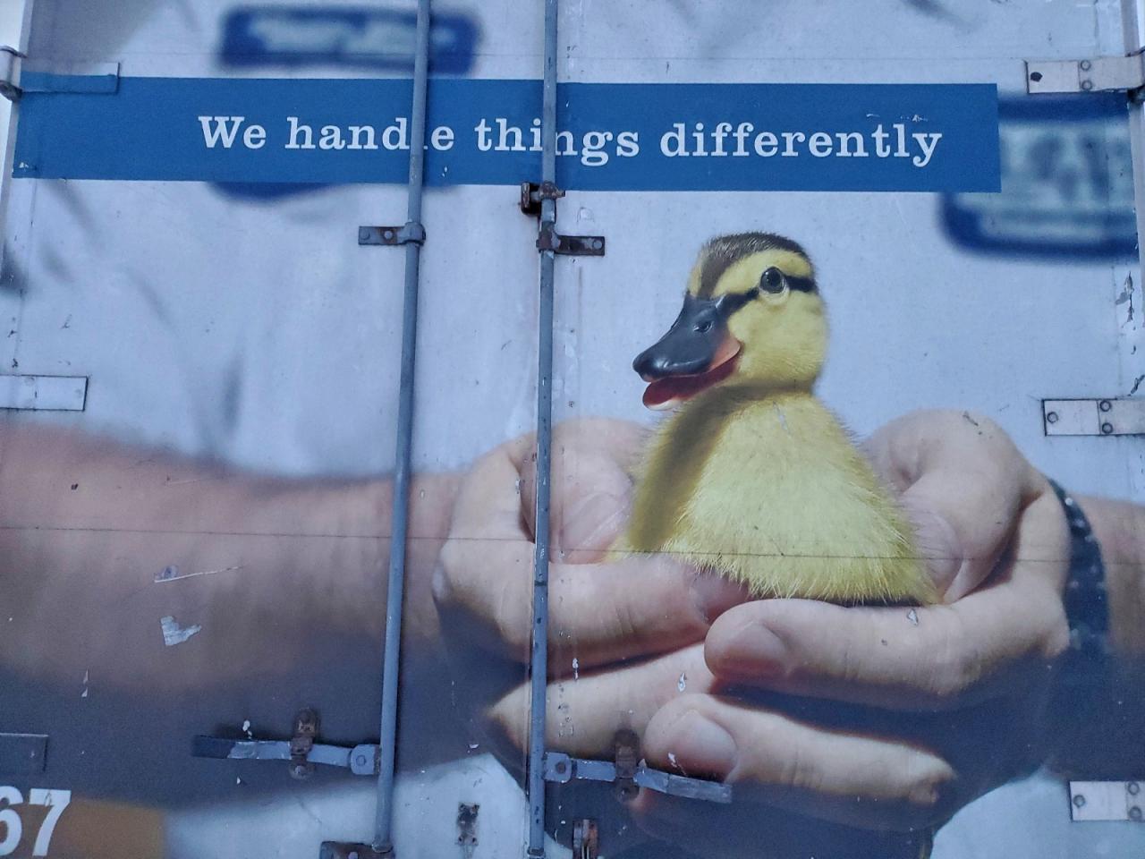 Hino 258 268 Image 9