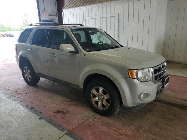 Ford Escape Limited Image 2