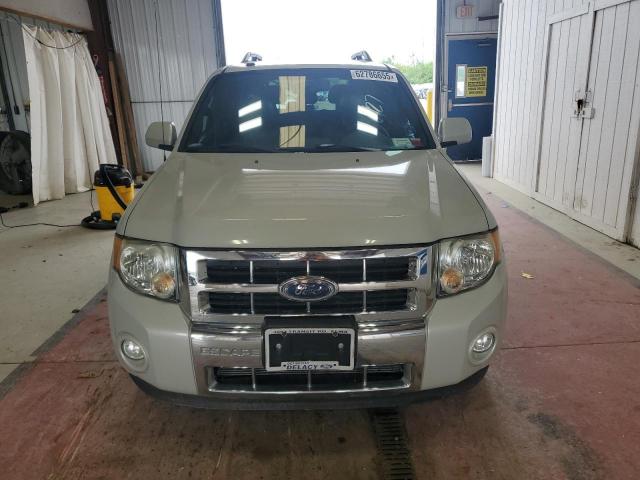 Ford Escape Limited Image 3