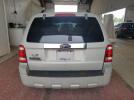Ford Escape Limited Image 13