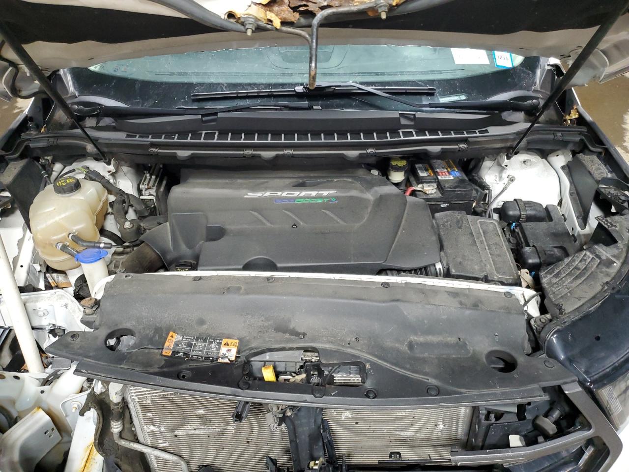 Ford Edge Sport Image 11