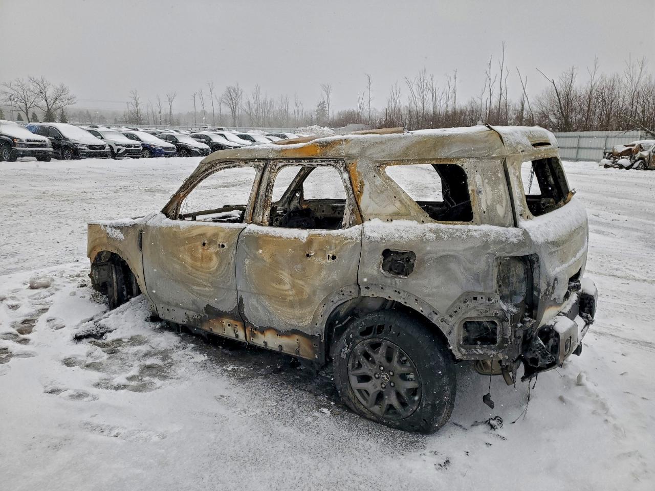 Ford Bronco Big Bend Image 5