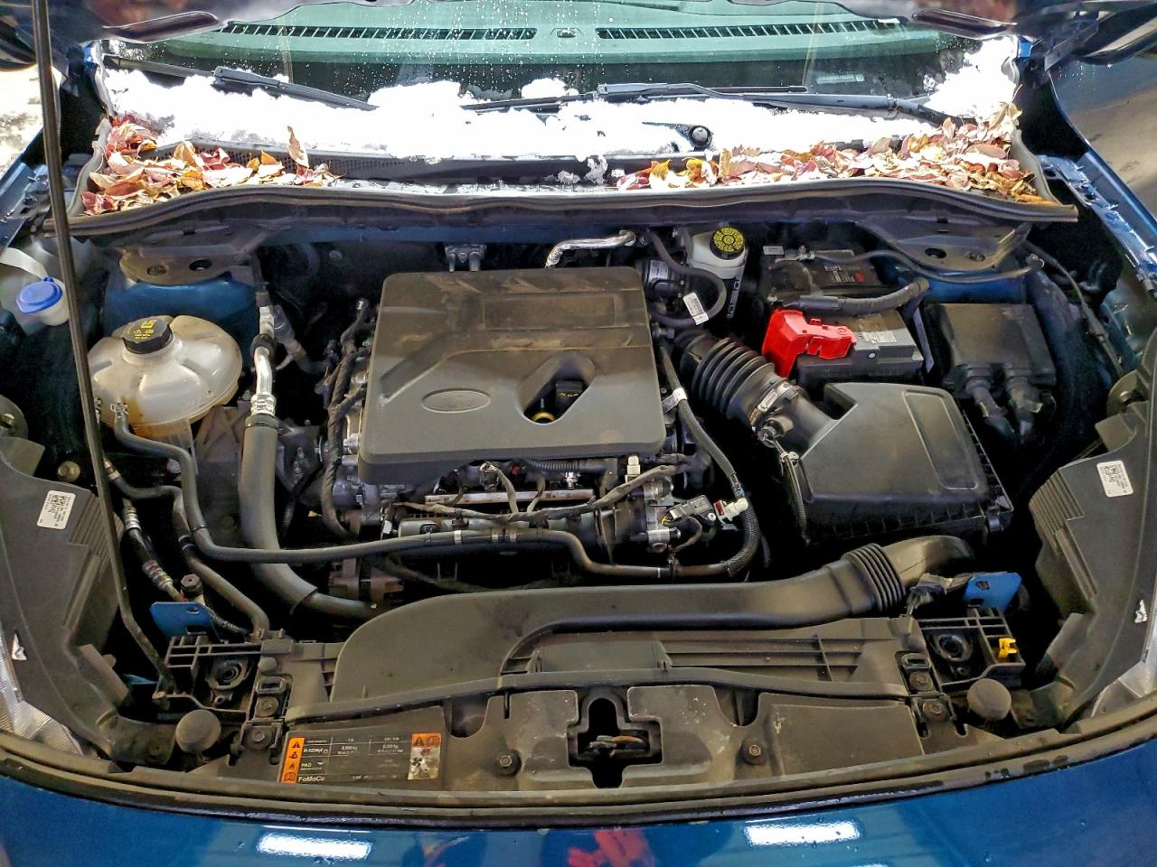 Ford Escape Sel Image 10